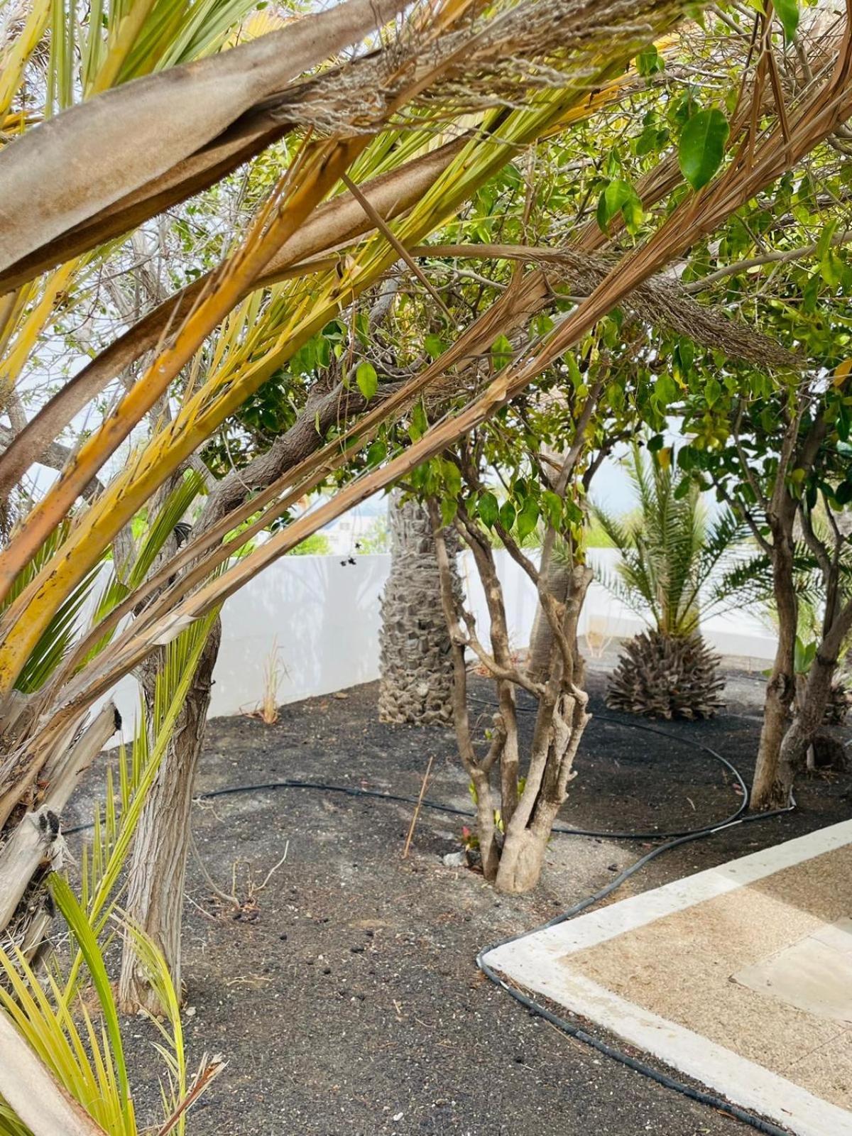 Villa Rosa Puerto del Carmen  Ngoại thất bức ảnh